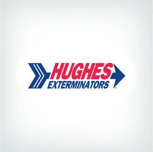 How To Extinguish Fire Ants Before They Take Over